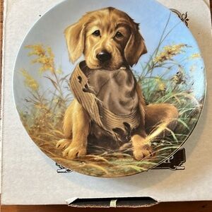 The Bradford Exchange Golden Retriever Decorative Plate. Bundle sand save.
